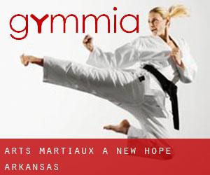 Arts Martiaux à New Hope (Arkansas)