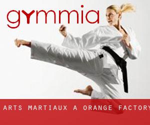 Arts Martiaux à Orange Factory Arts Martiaux à Orange Factory