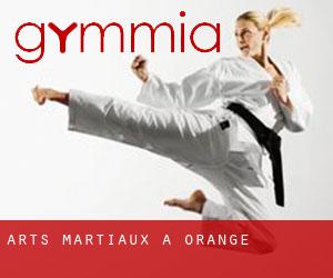 Arts Martiaux à Orange Arts Martiaux à Orange
