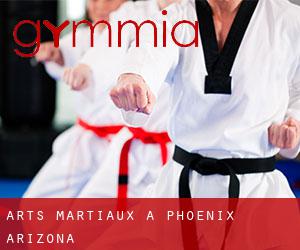 Arts Martiaux à Phoenix (Arizona) Arts Martiaux à Phoenix (Arizona)