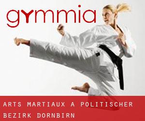 Arts Martiaux à Politischer Bezirk Dornbirn
