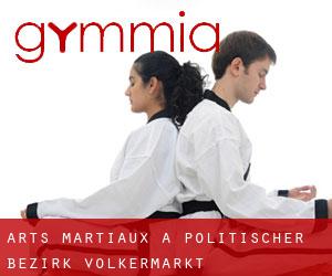 Arts Martiaux à Politischer Bezirk Völkermarkt