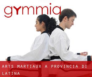 Arts Martiaux à Provincia di Latina