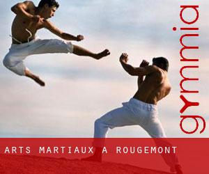 Arts Martiaux à Rougemont