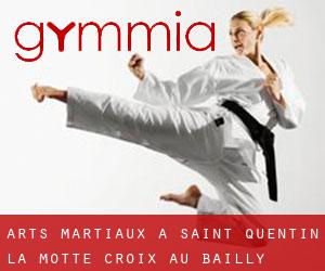 Arts Martiaux à Saint-Quentin-la-Motte-Croix-au-Bailly