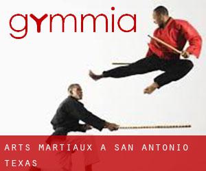 Arts Martiaux à San Antonio (Texas)