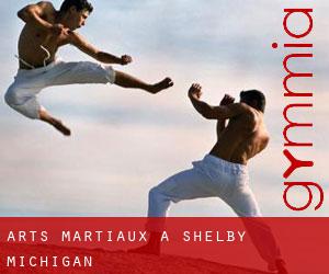 Arts Martiaux à Shelby (Michigan)