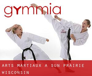 Arts Martiaux à Sun Prairie (Wisconsin) Arts Martiaux à Sun Prairie (Wisconsin)