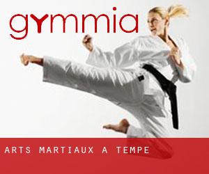 Arts Martiaux à Tempe Arts Martiaux à Tempe
