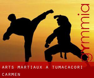 Arts Martiaux à Tumacacori-Carmen Arts Martiaux à Tumacacori-Carmen