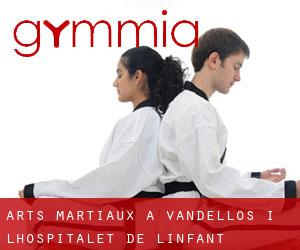 Arts Martiaux à Vandellòs i l'Hospitalet de l'Infant