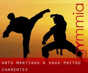 Arts Martiaux à Vaux (Poitou-Charentes)