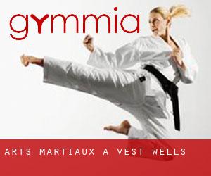 Arts Martiaux à Vest Wells Arts Martiaux à Vest Wells
