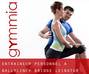 Entraîneur personnel à Ballylinch Bridge (Leinster)