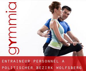 Entraîneur personnel à Politischer Bezirk Wolfsberg Entraîneur personnel à Politischer Bezirk Wolfsberg