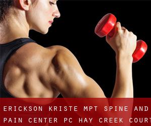 Erickson Kriste Mpt Spine and Pain Center PC (Hay Creek Court)