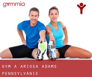 gym à Ariosa (Adams, Pennsylvanie)