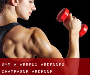gym à Arreux (Ardennes, Champagne-Ardenne)