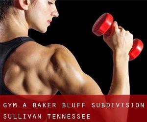 gym à Baker Bluff Subdivision (Sullivan, Tennessee)