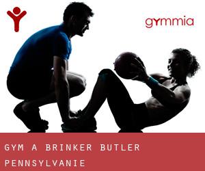 gym à Brinker (Butler, Pennsylvanie)
