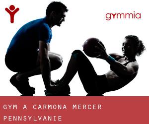 gym à Carmona (Mercer, Pennsylvanie)