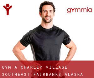 gym à Charley Village (Southeast Fairbanks, Alaska)