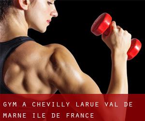 gym à Chevilly-Larue (Val-de-Marne, Île-de-France)