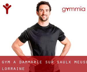 gym à Dammarie-sur-Saulx (Meuse, Lorraine)