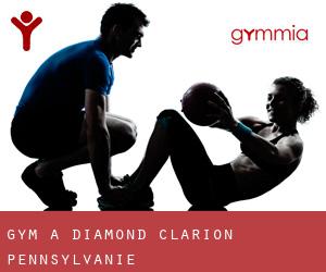gym à Diamond (Clarion, Pennsylvanie)