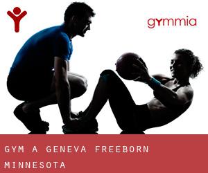 gym à Geneva (Freeborn, Minnesota)