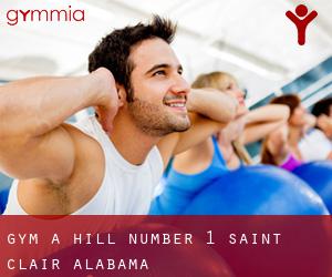 gym à Hill Number 1 (Saint Clair, Alabama)
