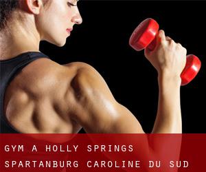 gym à Holly Springs (Spartanburg, Caroline du Sud)