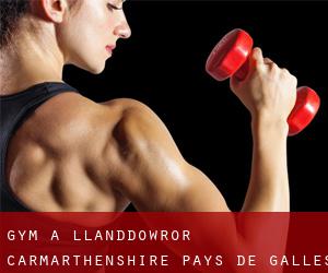 gym à Llanddowror (Carmarthenshire, Pays de Galles)