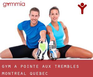 gym à Pointe-aux-Trembles (Montréal, Québec) gym à Pointe-aux-Trembles (Montréal, Québec)