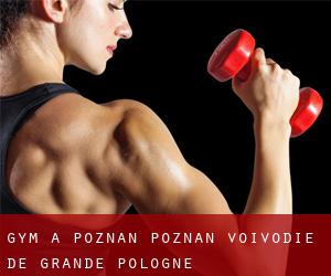 gym à Poznań (Poznań, Voïvodie de Grande-Pologne)