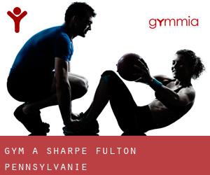 gym à Sharpe (Fulton, Pennsylvanie)