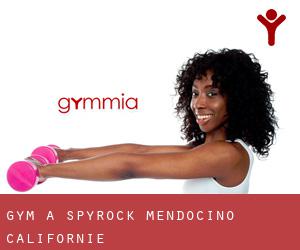 gym à Spyrock (Mendocino, Californie)