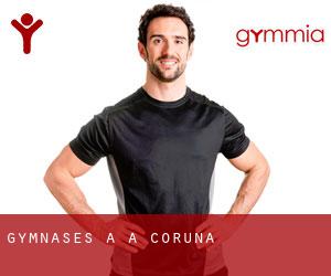 gymnases à A Coruña