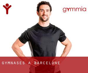 gymnases à Barcelone