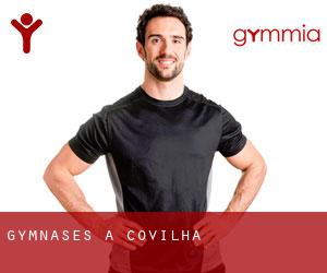 gymnases à Covilhã