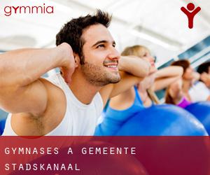 gymnases à Gemeente Stadskanaal gymnases à Gemeente Stadskanaal