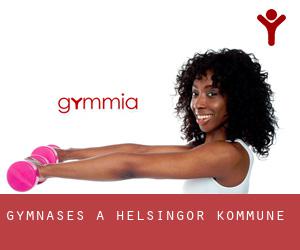 gymnases à Helsingør Kommune