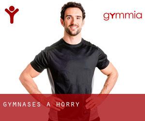 gymnases à Horry