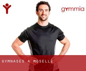 gymnases à Moselle