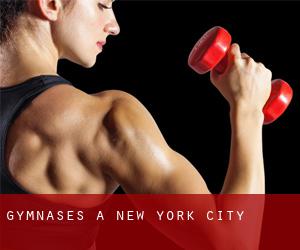 gymnases à New York City gymnases à New York City
