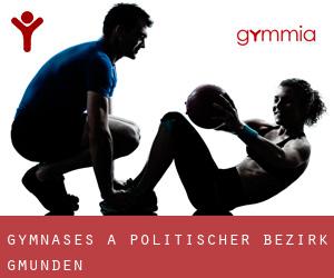 gymnases à Politischer Bezirk Gmunden