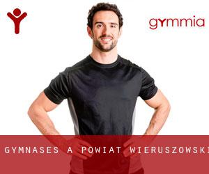 gymnases à Powiat wieruszowski