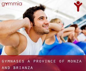 gymnases à Province of Monza and Brianza
