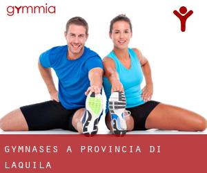 gymnases à Provincia di L'Aquila