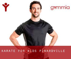 Karate For Kids (Pinardville)